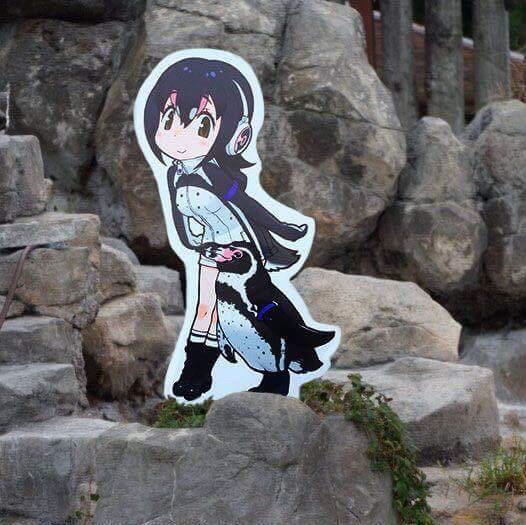 个人头像